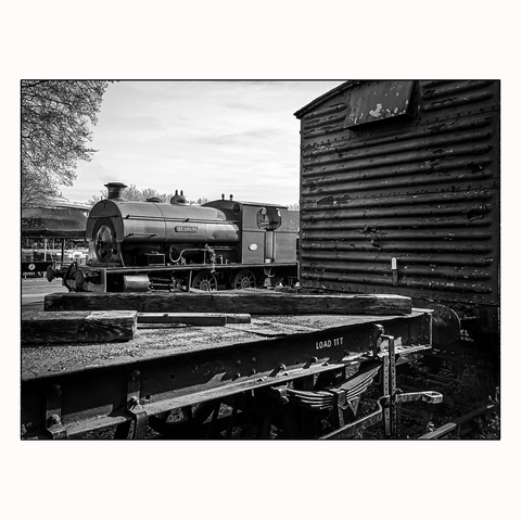 An old working steam train is framed between two antique carriages, viewable as the closest is a flatbed variety. The sky is clear with a tree beginning to bud in the top left of frame.