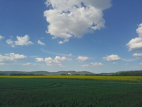 Blick Richtung Walhalla. Das tempelartige Gebäude ist im unteren Biddrittel hinten vor einem grünen Höhenzug zu sehen. Darüber weitestgehend blauer Himmel mit einzelnen Wolken in weiß und grau. Weiter vorne (in Streifen von hinten nach vorne) grüne Baumreihen, gelb Blühendes aus Feldern, frisches Feldgrün im Vordergrund.