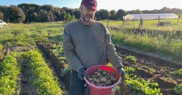 Julien Dorin récolte les pommes de terre de l'île de Ré depuis 18 ans.