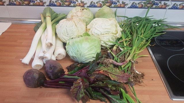 Contenido de la cesta de la semana sobre una encimera de cocina.
En primer plano, remolachas. A la izquierda, un manojo de puerros. Y a la derecha otro de ajetes.
En el centro, cinco repollos.