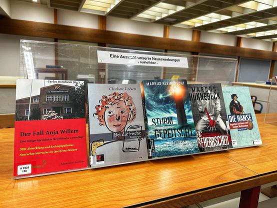 Ein Display mit einer Auswahl neuer Bücher in einer Bibliothek. Zu den Titeln gehören "Der Fall Anja Willem", "Bei den Fischen", "Sturm Geplätsch", "Der Beherrscher" und "Die Hanse".