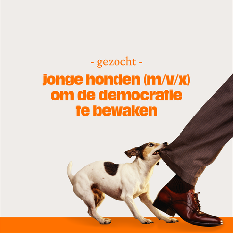 - gezocht -
jonge honden (m/v/x) om de democratie te bewaken