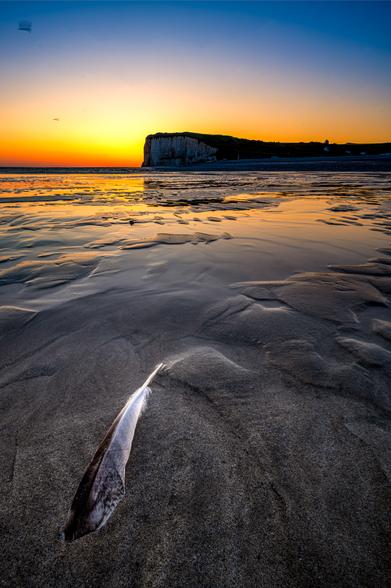 Sandstrand am Meer kurz vor Sonnenaufgang. Im Hintergrund sind Klippen zu sehen, im Vordergrund liegt dekorativ eine Feder im Sand.