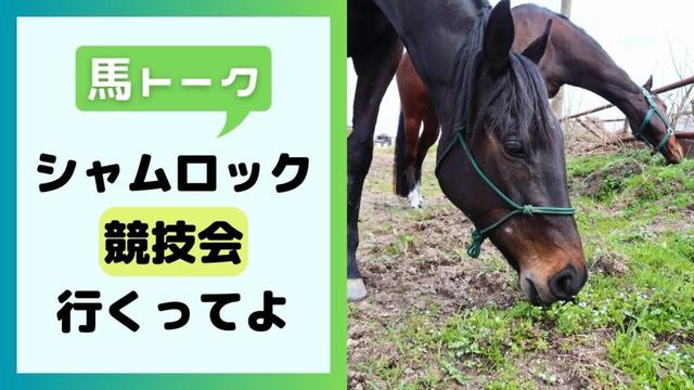 シャムロック、競技会行くってよ【馬トーク】