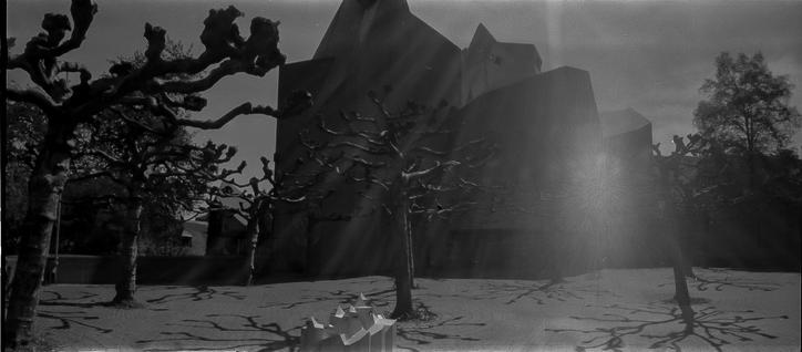 Schwarzweiß Panorama. Sichtbeton Kirche im gegenlicht, davor frisch geschnittene Kopfweiden.