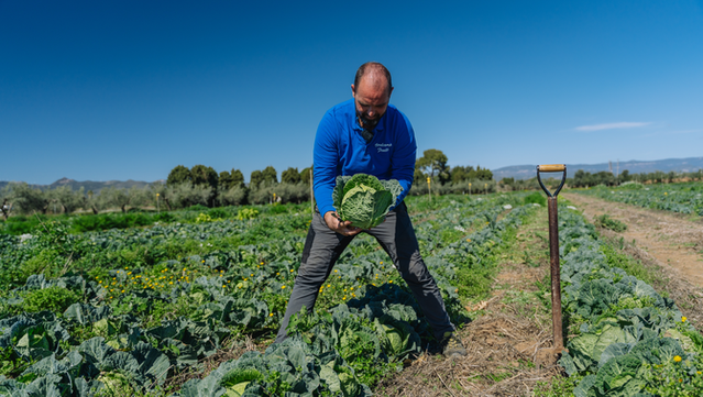Verdcamp Fruits és un de les finques que han participat en el projecte (Galdric Mossol / CREAF)