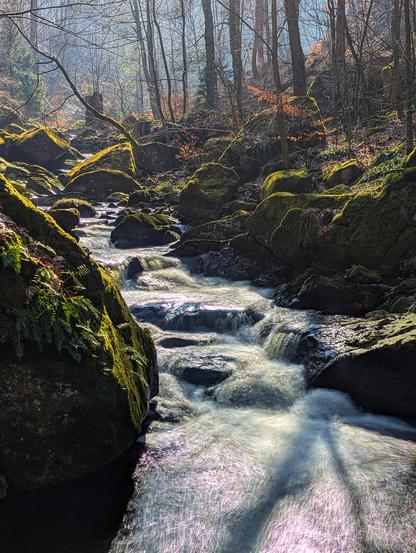 This is a photograph of a stream flowing through a woodland setting. The stream, captured with a long exposure, appears as a blur of white water cascading over dark rocks. The rocks on either side of the stream are covered in bright green moss, contrasting with the dark, wet stone. The surrounding forest is dense, with tall, bare trees reaching up into the sky. The light is soft and diffused, creating a tranquil and slightly misty atmosphere.