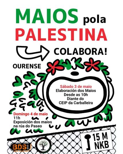 A imaxe é un cartel informativo e reivindicativo que promove un evento titulado “Maios pola Palestina”. A estética está inspirada na tradición galega dos maios (festas populares de primavera) e na solidariedade co pobo palestino.

Descrición:
- Texto principal (na parte superior):  
  En letras grandes e coloridas aparece o título:  
  - “MAIOS” en verde,  
  - “PALESTINA” en vermello,  
  - “pola” e “COLABORA!” en negro.  
- Lugar: "OURENSE" 
- Ilustración central:  
  Un debuxo dunha figura ou cabeza cunha coroa de flores vermellas e verdes (representando os maios), con trazos sinxelos en negro. 
- Texto de actividades:
  - Sábado 3 de maio:  
    “Elaboración dos Maios. Desde as 10h diante do CEIP da Carballeira.”
  - Domingo 4 de maio ás 11h:  
    “Exposición dos maios na rúa do Paseo.”
- Parte inferior:  
  Aparecen logotipos de colectivos ou organizacións que parecen apoiar o evento:
  - “BDS Galiza” (Boicot, Desinvestimento e Sancións a Israel).
  - O logo cunha árbore (da Rede Galega por Palestina).
  - Unha chave negra grande cun texto “15M NKB”, símbolo da Nakba o 15 de maio.

A cor vermella, verde, branca e negra —cores da bandeira palestina— dominan o cartel.