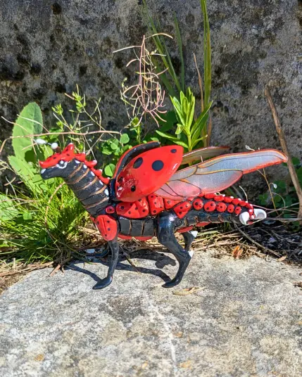 Une dragonne coccinelle rouge à point noir.