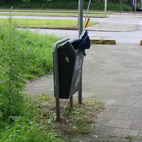 Blue brolly in green bin. Bin is next to a stairway and kinda wild green plants. behind is a road with a crossing for bicycles and behind that there is a train passing by. A cyclist is coming towards us from a pedestrian/bicycle tunnel.