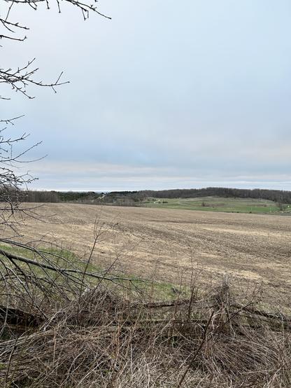 The sky is gray. The sun is hidden the air is cool. The pastures are green. The field ahead of me is still brown. I hear turkeys gobbling nearby the local fellow with his harem.