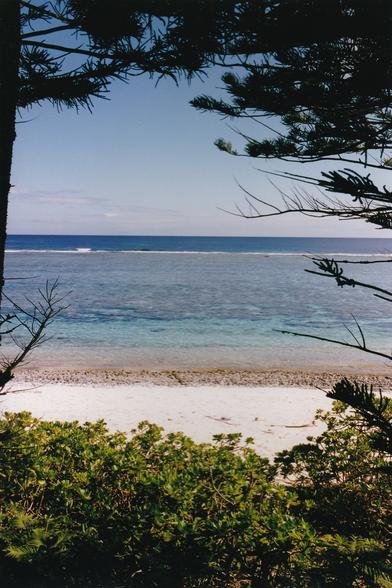 Plage en Nouvelle-Calédonie vue à travers la trouée de la forêt, on voit clairement la barrière de corail par la couleur de la mer, bleu clair dedans, bleu sombre en dehors.