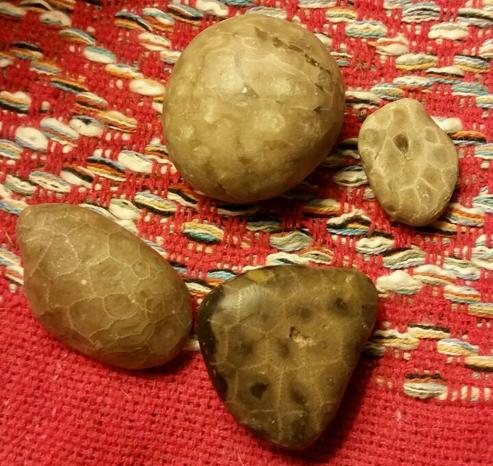 Petosky stones that I have been hand polishing to work with as a milpreve / adder's stone.