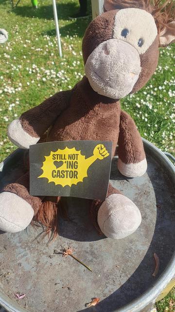 Plüschtier mit Aufkleber "stil not loving Castor "