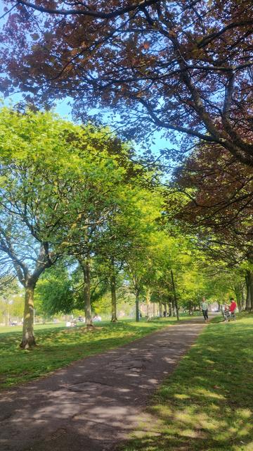 A view along a path lined by trees now in their spring greenery
