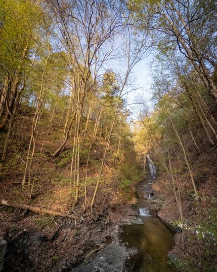 Gorge at sunrise. April 29, 2025. Phone, Halide Raw, post in LR Mobile.