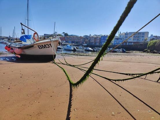 A seaweed draped rope stretched over a sandy edge of Paignton Harbour, tethering a small fishing vessel.
Blue sky and sunshine.
