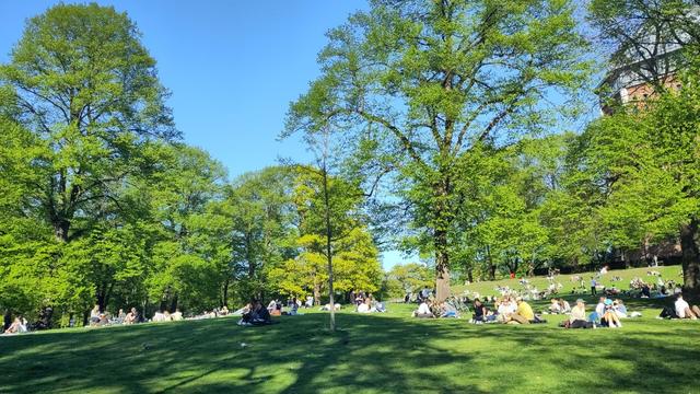 Der Schanzenpark: rechts der Wasserturm, eine sanfte Erhebung in der Mitte mit Wiese und einigen Bäumen, unter denen viele Gruppen von Menschen entspannt sitzen.