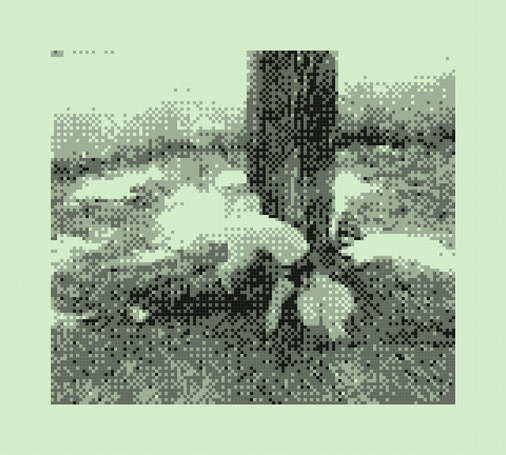 Photo of a small poodle raising his leg against a tree trunk, in the sunshine, highly pixelated