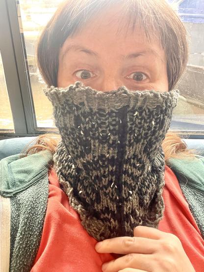 A selfie of a white woman with brown hair wearing a chunky knitted cowl, which covers her neck and over her nose. The cowl is sage green and black with a leaf pattern, and she is looking at the camera with eyebrows raised.