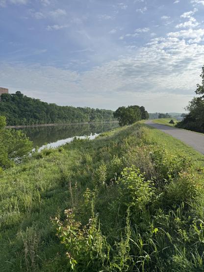 Greenway running along the top of a levee by the Cumberland River