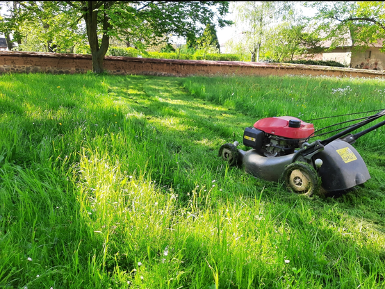 Mulcher im zu hihen und zu ruppigen Gras.