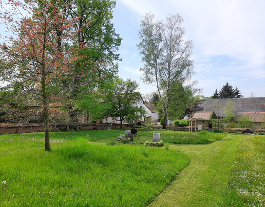 Friedhof Sehlis. Links Blumenwiese, ein paar Gräber und einzelne Bäume. Rechts ein gemähter Weg. Im Hintergrund Häuser.