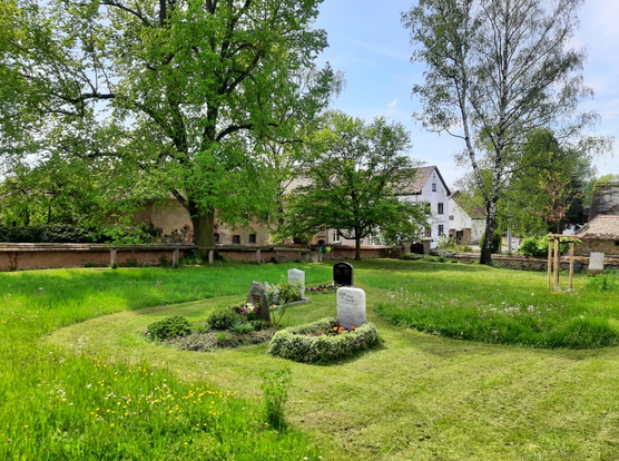 Vier freigemähte Gräber, rings herum Blumenwiese. Im Hintergrund Bäume und Häuser.