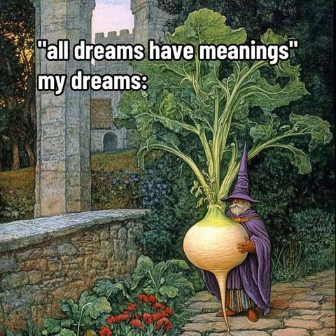 a purple robed wizard holding a truly giant turnip
