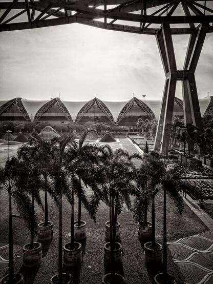 A glimpse through the arrival windows at the majestic and immense airport garden with the soon to be setting sun framed by the massive metal trellis and concrete support beams that makes this fantastic airport design so recognizable and beautifully futuristic