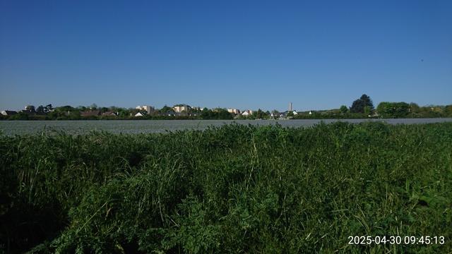 Hérouville Saint-Clair vu depuis un champ couleur lavande sous un ciel bleu azur.