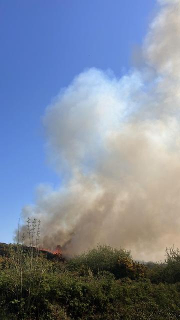 Gorse fire, blue skies