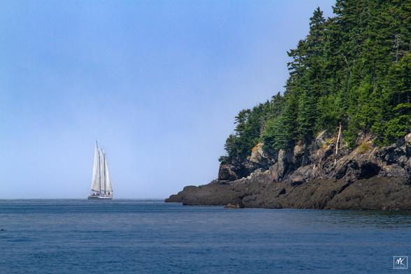 Color photo of a large sailboat in the distance sailing past a rocky and tree-covered shoreline.