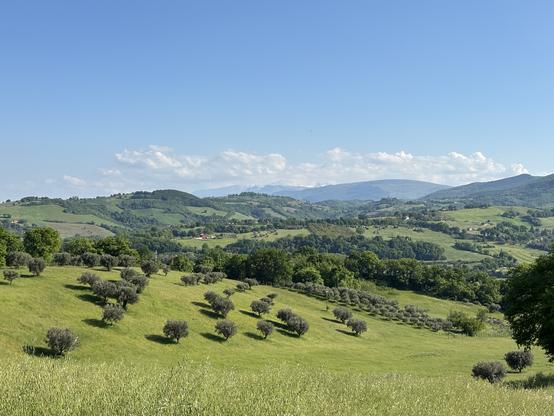 Picturesque rural Italian landscape in the Macerata province. It shows rolling hills, olive groves, and snow-capped mountains in the distance under a clear blue sky.