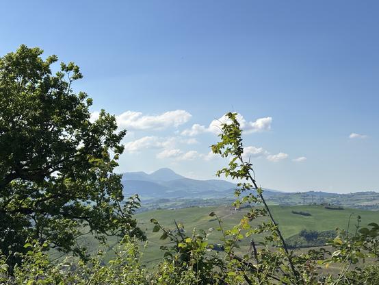 View on Monte San Vicino with green hills, distant mountains with light haze, and tree branches framing the foreground against a bright blue sky.