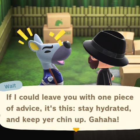 Animal Crossing: New Horizons screenshot. Set inside Walt's house that is covered in scattered boxes. Walt (grey kangaroo) is talking to a bearded, light skinned human wearing a black hat. Walt is saying, "If I could leave youw ith one piece of advice, it's this: stay hydrated, and keep yer chin up. Gahaha!"