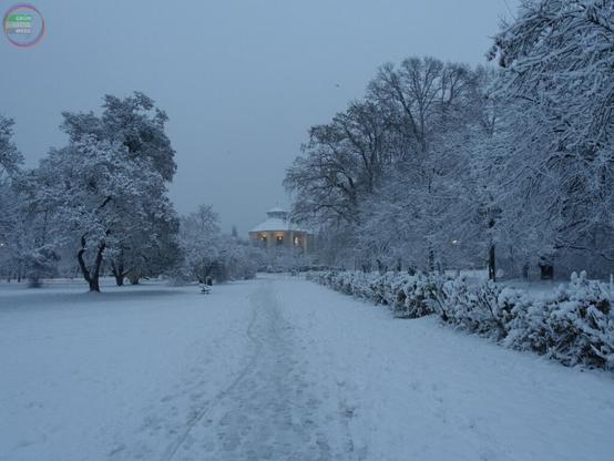 Allee im Winter im Schnee