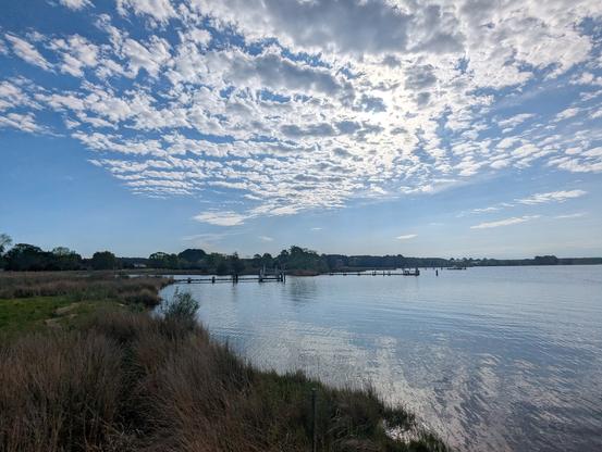 Photo of a calm morning sunrise over Harris Creek sun rising low to the left behind a white herringbone set of clouds in a deep blue sky. Marsh is greening up nicely with new Spring growth. Creek water is rippled and reflects the sky and clouds.