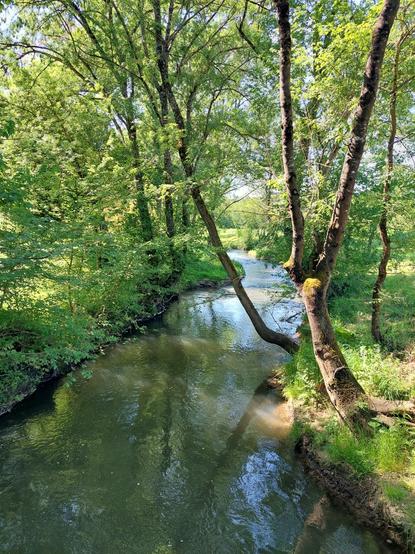 Une rivière serpente dans un écrin de verdure arboré