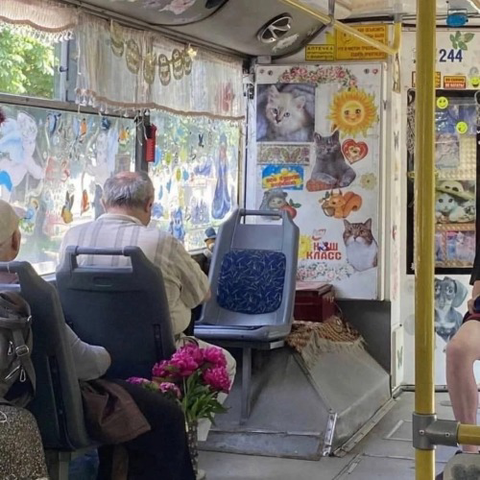 Interior de un transporte publico, pesero o similar lleno de recortes de fotos de gatos