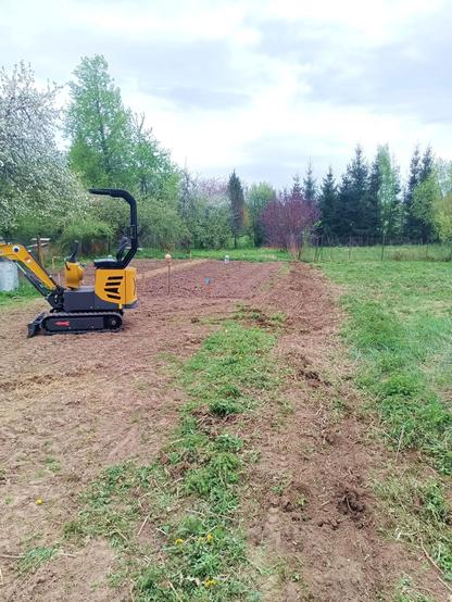 The garden, viewing down the line where a fence was removed yesterday. The resulting trench, mess of weeds and some small tree trunks has been removed and leveled. The small yellow excavator that did it stands nearby, googly eye just barely in frame.