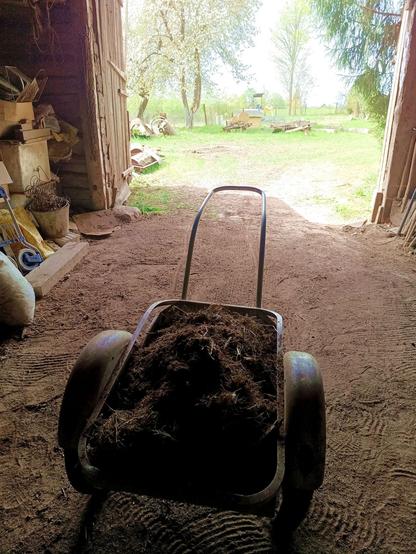 A wheelbarrow loaded with Barnfloor Special mix in the barn, looking out of the door into the bright green outside. The barn floor has marks from raking up the mix.