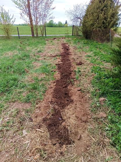 A slightly crooked bed of Barnfloor Special with compost on top. It's covering a bunch of weeds and grass along an old fence.