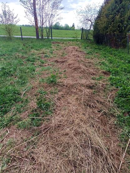 Same bed, now covered with hay and stuff that was laying around in the nearby former goat pen. The day has advanced somewhat further since the last photo and the sky gotten more grey.