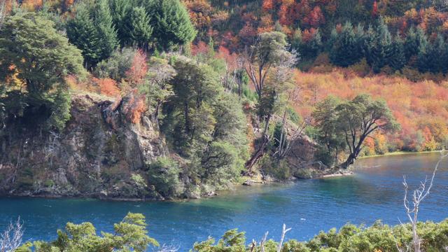 Der Herbst kommt an...am See.