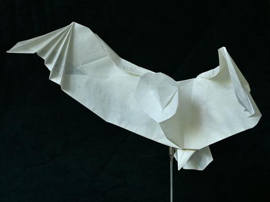 A white origami model of an owl that looks like a barn owl, with the characteristic round face