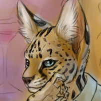 Sketch of an anthropomorphic serval (head).