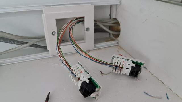 A photo of two ethernet cables terminated into RJ45 jacks. The electrician who did the work has left around 6" / 15cm of exposed pairs that are not at all twisted. This is considered terrible practice, as it allows for interference to disrupt the signalling and can cause the speed of the connection to fall, amongst other issues.