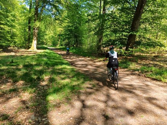 Une photo d'un chemin de terre dans une forêt verdoyante du Bas-Rhin un jour très ensoleillé. Le chemin est arpenté en premier plan, d'une femme aux cheveux verts de dos sur son vélo. Une dizaine de mètres devant elle, un enfant de 8 ans avance lui aussi à vélo.