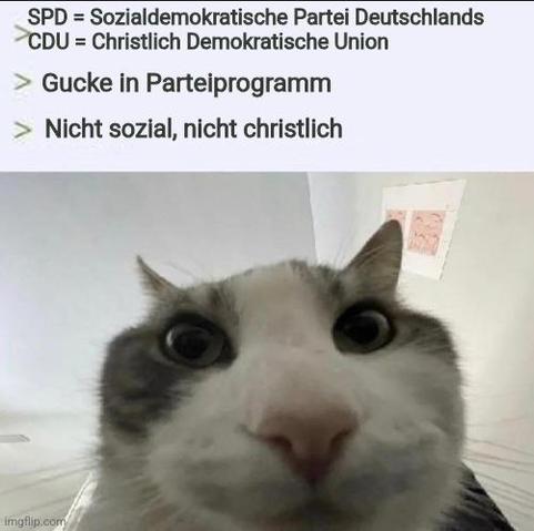 Ein Meme:
> SPD = Sozialdemokratische Partei Deutschland
> CDU = Christlich Demokratische Union

> Gucke in Parteiprogramm

> Nicht sozial, nicht christlich

Darunter ist ein Bild einer Katze, die verwundert schaut.